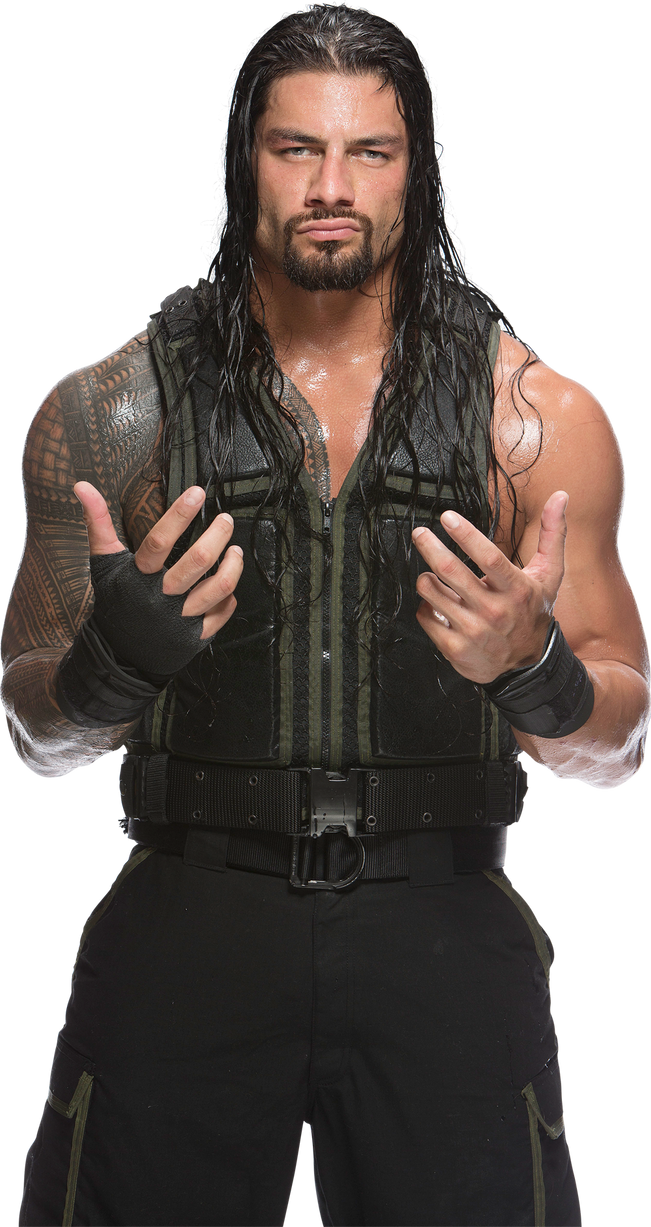 roman reigns 2014 render