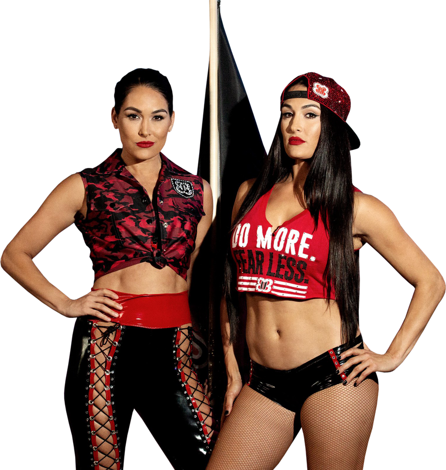 2019 The Bella Twins nudes (96 photo), Sexy, Paparazzi, Boobs, bra 2006 2019 The Bella Twins nudes (41 photos), Ass, Bikini, Twitter, lingerie 2020