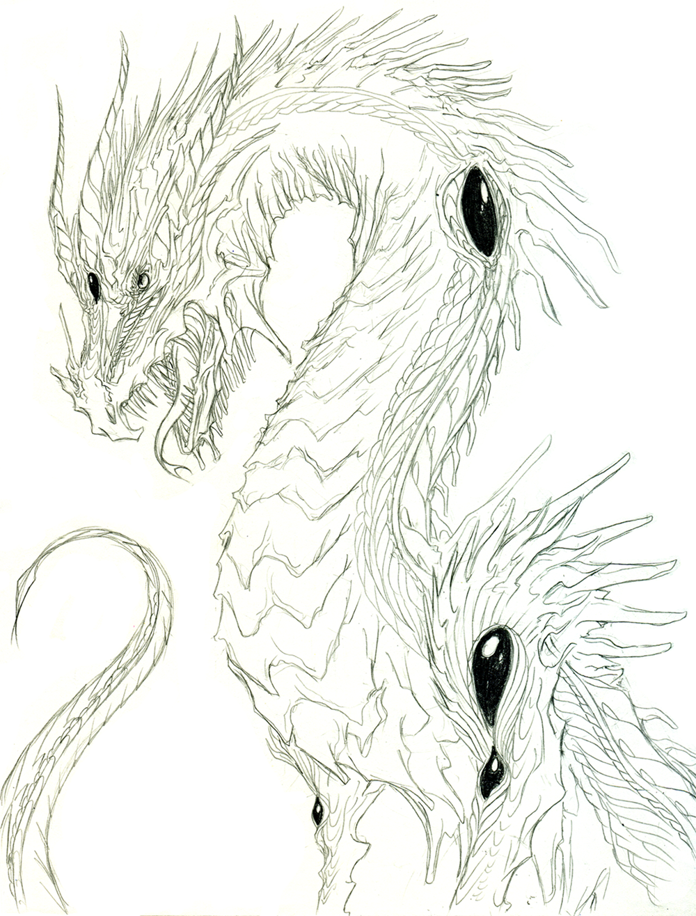 Old Dragon Sketch by mag-ni