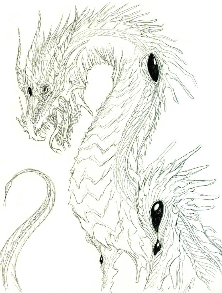 Old Dragon Sketch by mag-ni