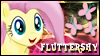Fluttershy Stamp by jewlecho