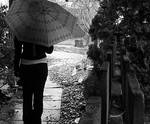 loneliness prevails by absurd-vexations