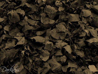 Otono - Autumn by darknesscl
