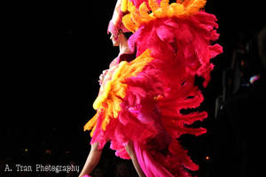 FIDM DEBUT RUNWAY SHOW 2011 by aznbeautiful