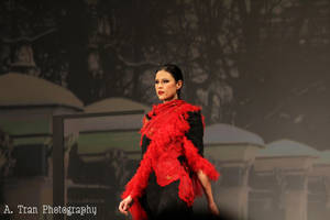 FIDM DEBUT RUNWAY SHOW 2011 by aznbeautiful