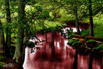 Blood Red River by Silver-Dew-Drop