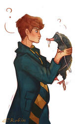 Newt Scamander by EnotRobin