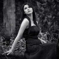 The Song is Ended by Chaerul-Umam