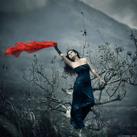 Signal by Chaerul-Umam