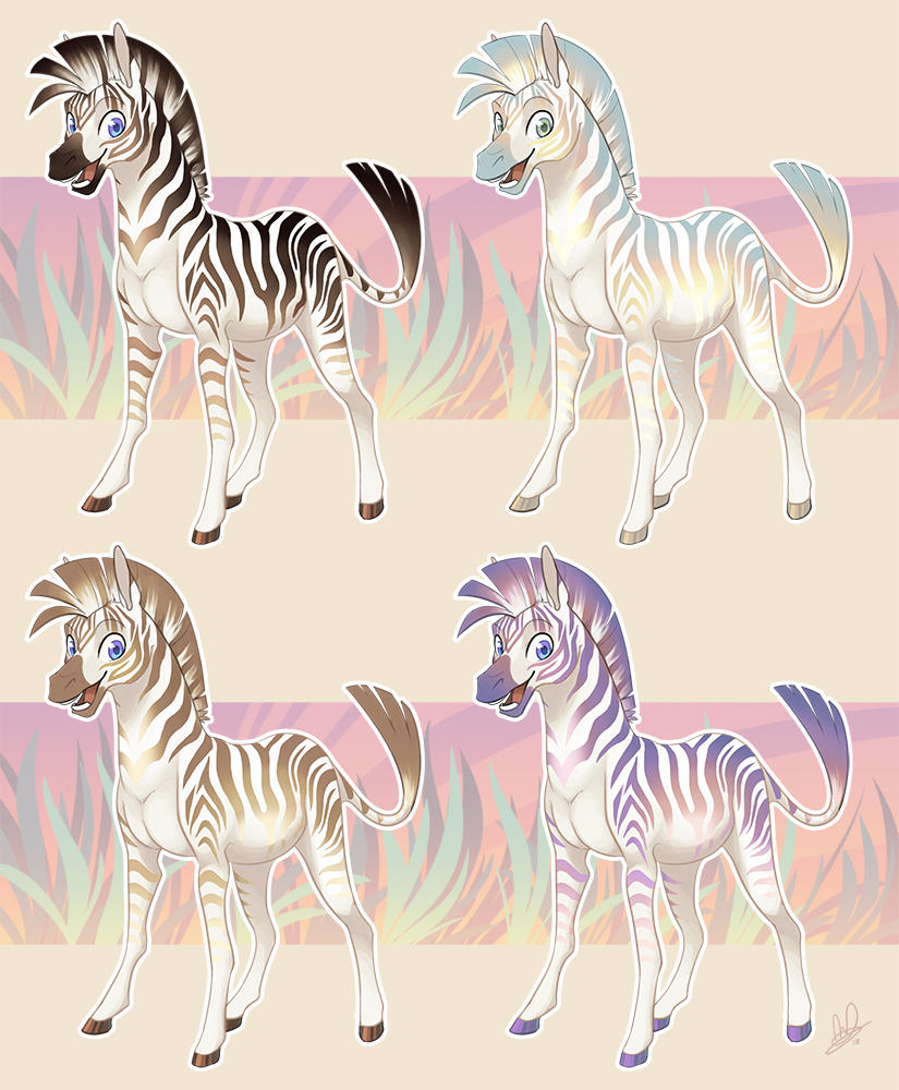 Zebras by Lanmana