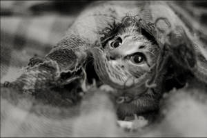 look by govorit-vsluh