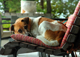 I see you by LaLillaa