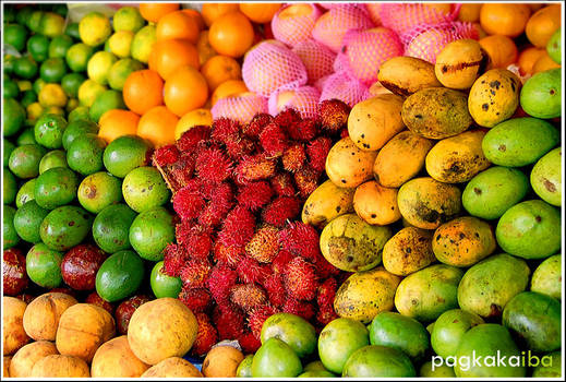 sikolohiyang pilipino series 5 by emmallaine
