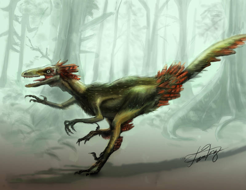 Feathered Troodon by FutureAesthetic