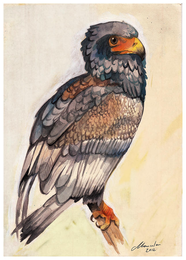 Bird is the Word by malta