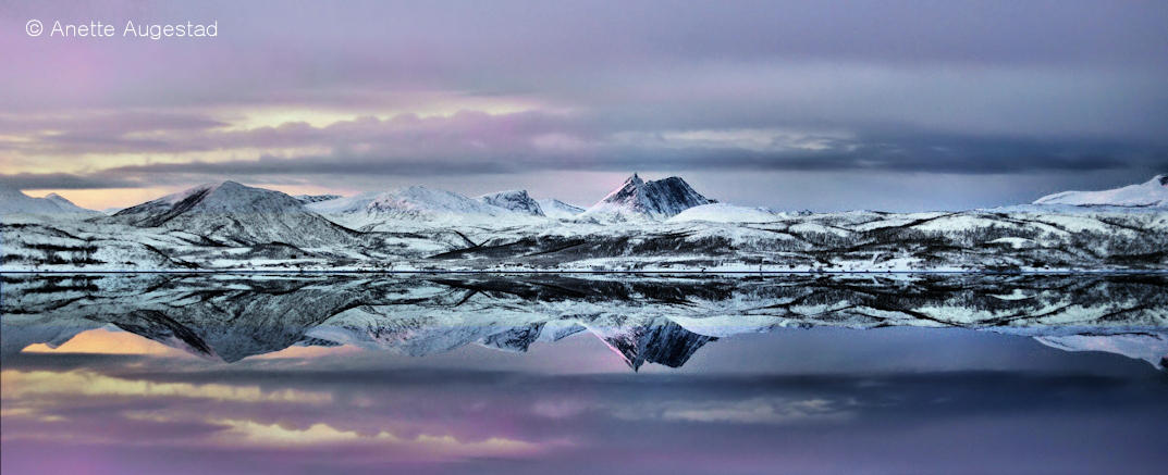 Cold Beauty by Hestefotograf Cold Beauty by Hestefotograf