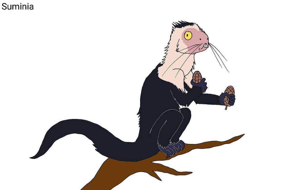 Suminia by Batterymaster on DeviantArt