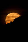 Il sorgere della luna.. by S-e-n-t-e-n-z-a