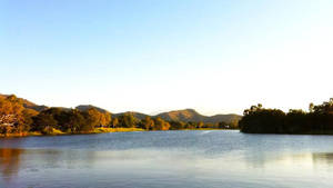 Down By The Riverside by bonzaboy