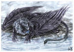 Gryph called Lord by Sysirauta
