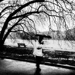 Lyon ::4 by MisterKey