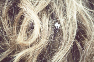 Snow Flake Hair by SarahMaeH