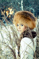 In winter 4 by sweet-land