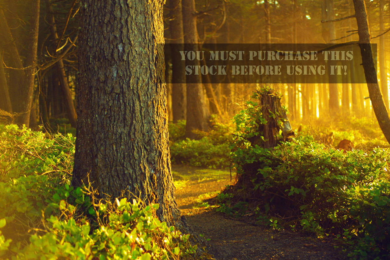The Forest Whispers Golden Stock by TEMPERATE-SAGE