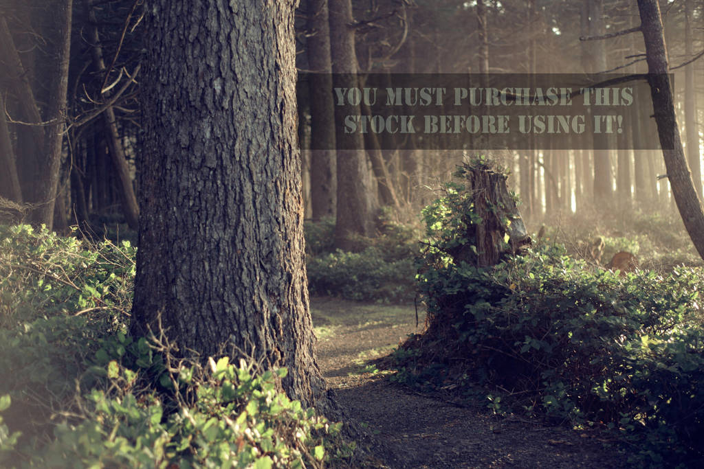 The Forest Whispers Antique Stock by TEMPERATE-SAGE