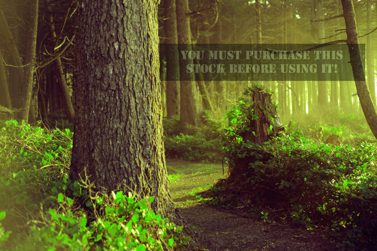 The Forest Whispers Green Stock by TEMPERATE-SAGE