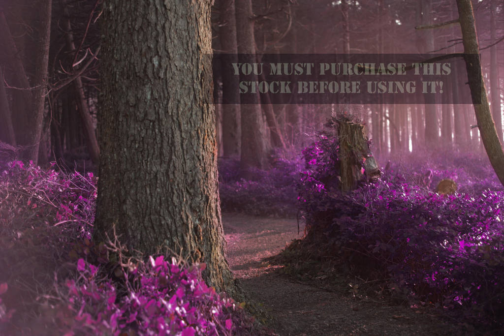 The forest Whispers Purple Stock by TEMPERATE-SAGE