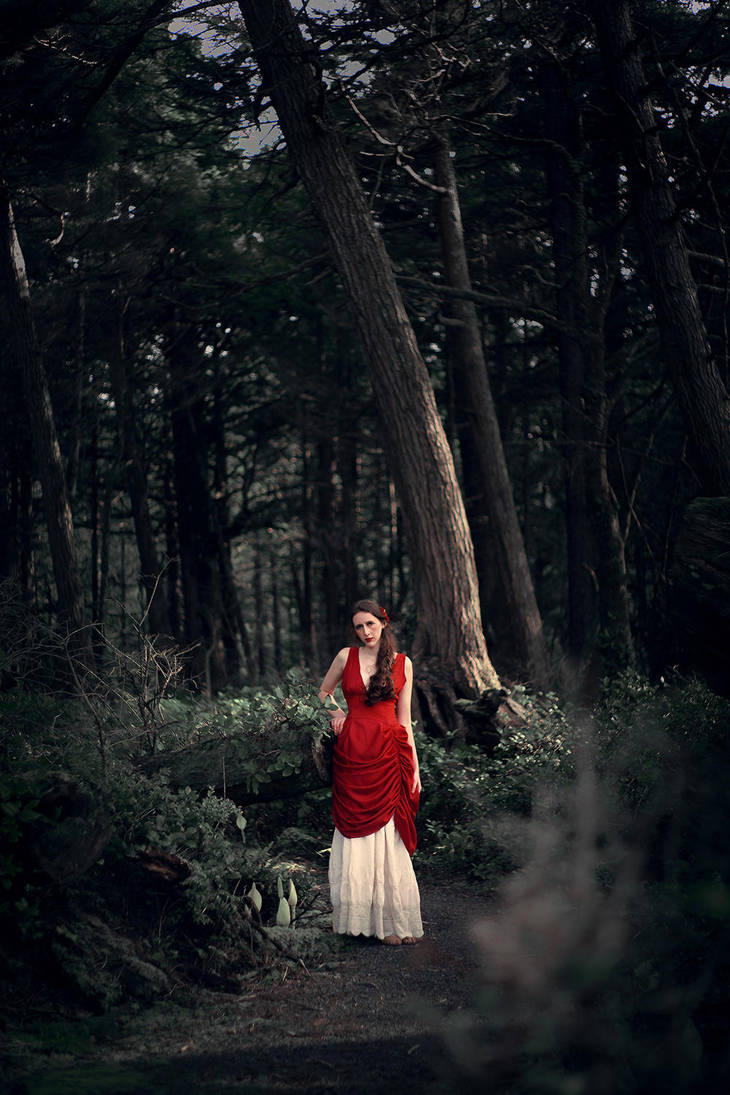 Red in the Woods by TEMPERATE-SAGE