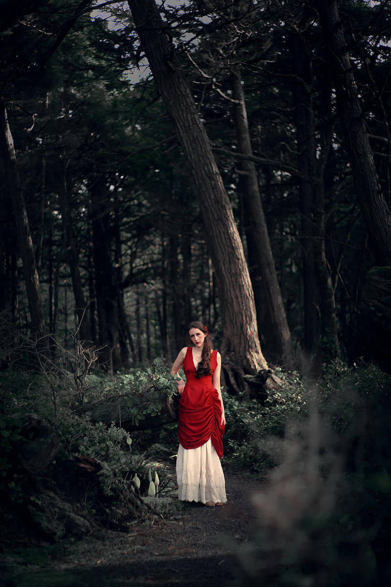 Red in the Woods by TEMPERATE-SAGE