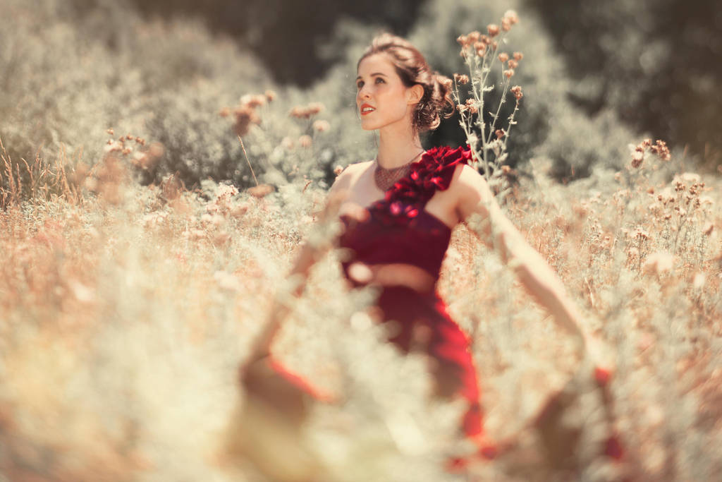 Rose Red by TEMPERATE-SAGE