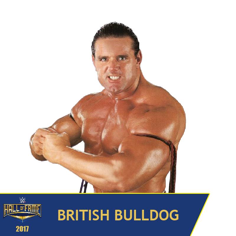British Bulldog Profile Pic by TheTitorup