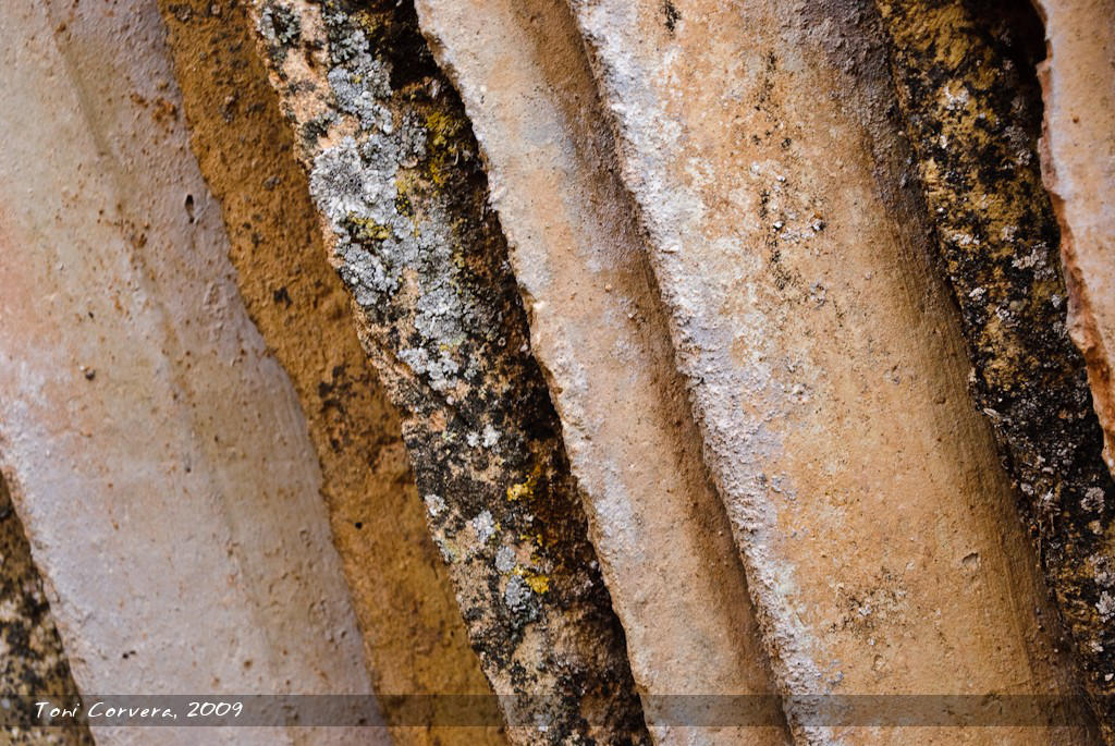Rural Textures No. 1 by outlyer