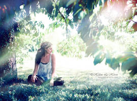 The cherry tree by kim-e-sens