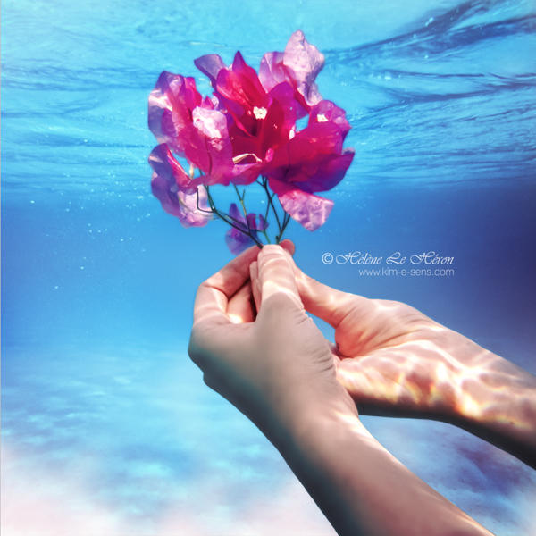 gift to marine nymphs by kim-e-sens