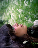 fresh greenery by kim-e-sens