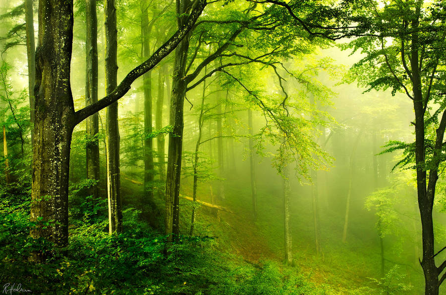 Save the planet by RobinHalioua Save the planet by RobinHalioua