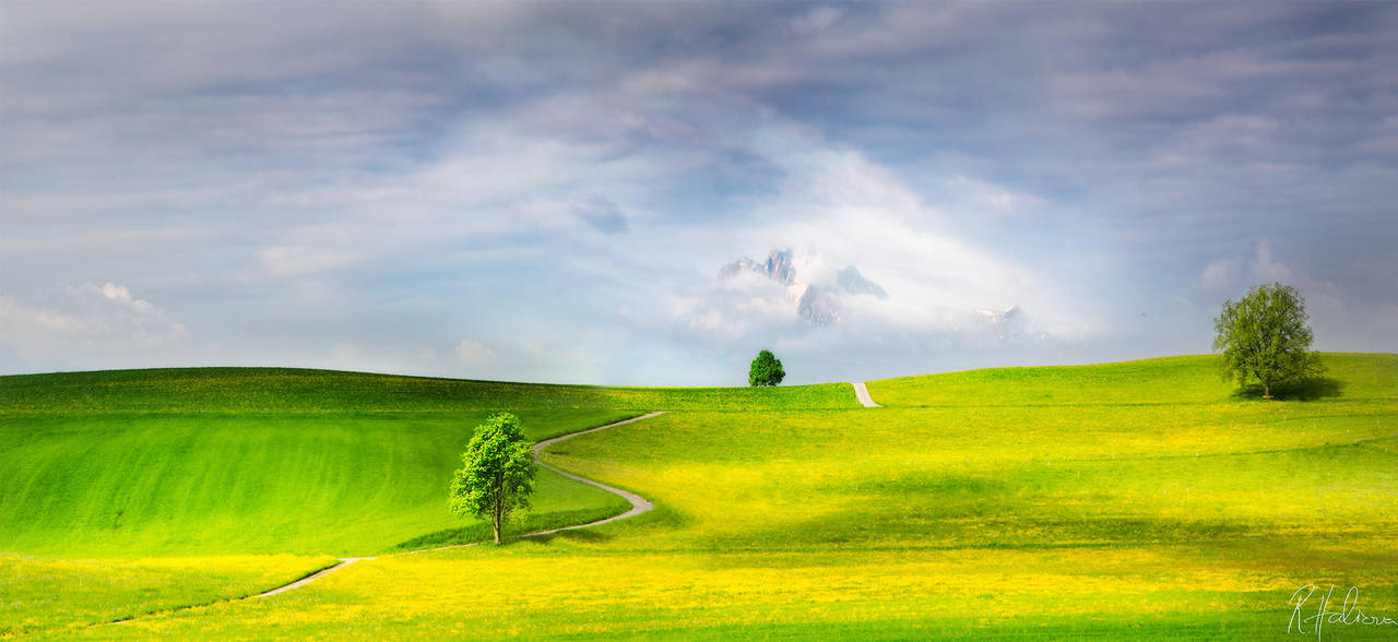 Road to Heaven by RobinHalioua Road to Heaven by RobinHalioua