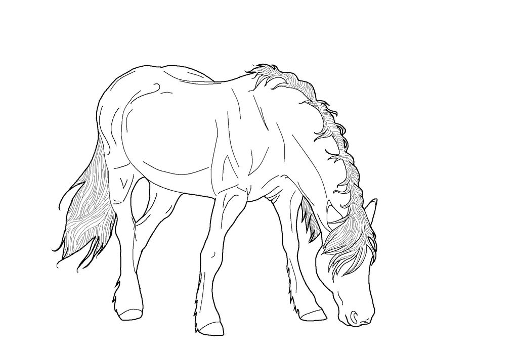 Horsey Lineart PNG by kokamo77