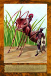 Abatwa with Legend by WolfWhoSings