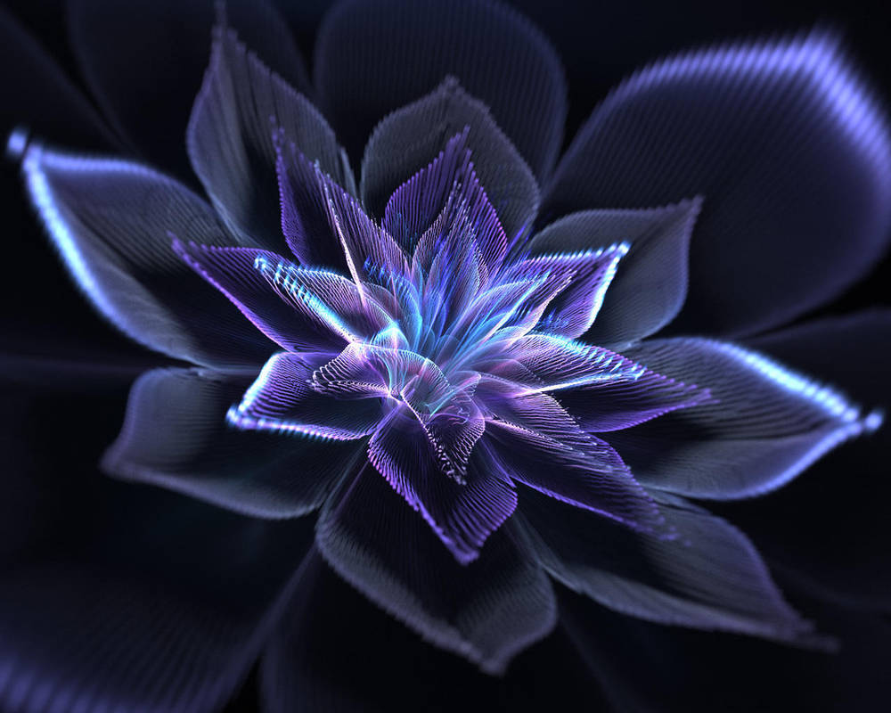 Morning Star. by Kondratij