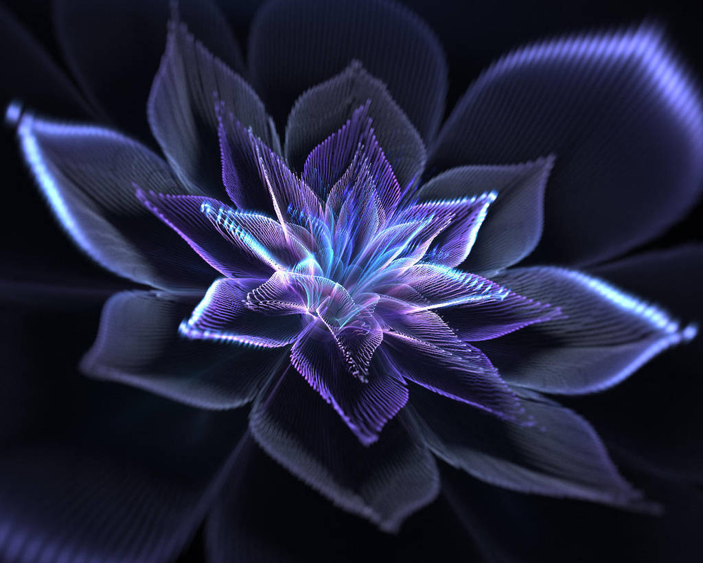 Morning Star. by Kondratij