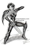 Assassin of Diablo II by DaosX