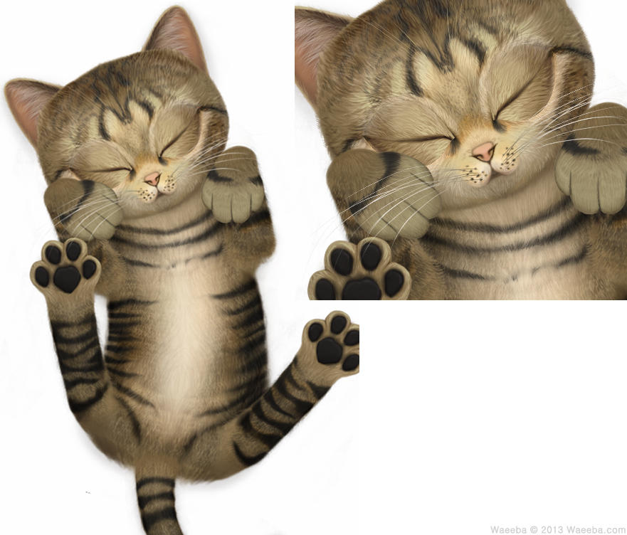 Downloaden Sie Die Kostenlose 3d Cute Cat Live Wallpaper 1 1 0 Apk
