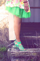 IMG_5750 by StevenKauk