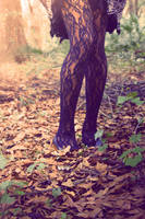 IMG_6388 by StevenKauk