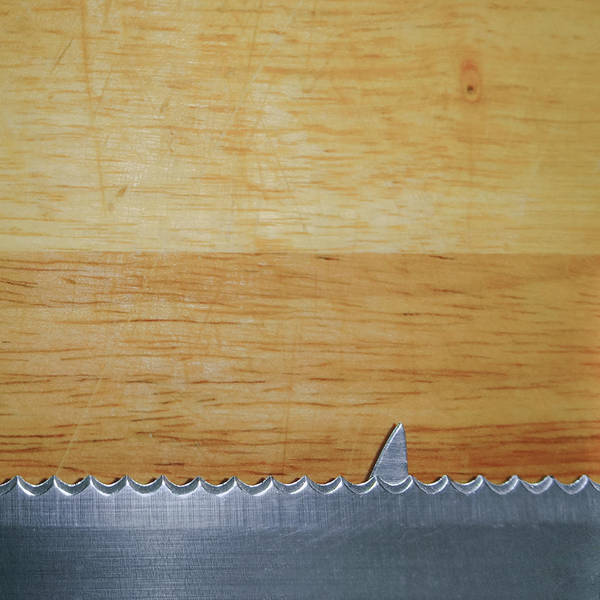 Shark infested breadboard by RGDart